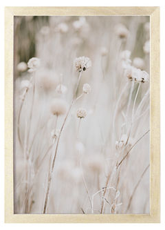 Cuadro white flowers