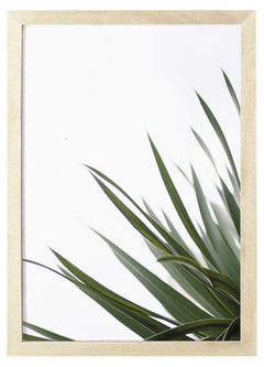 Cuadro botanical white