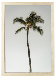 Cuadro Palmera hasta el Cielo