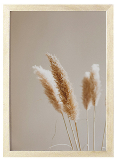 Cuadro Pampas Grass