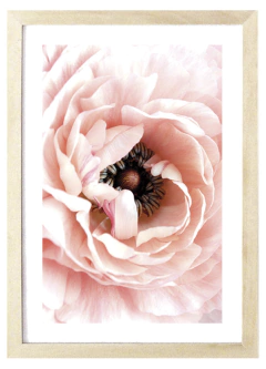 Cuadro Flor Dalia Pastel