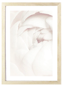 Cuadro Pétalos rosa