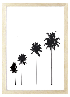 Cuadro Sombra Palmeras