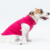 roupa para cachorro