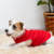 Roupa para Cachorro - Vermelho