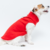 roupa para cachorro