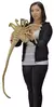 NECA - Aliens Facehugger 1:1 - ANIMALS COLLECTIBLES