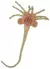 NECA - Aliens Facehugger 1:1 - tienda online
