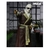 Imagen de NECA - Universal Monsters - Invisible Man Kemp House (Color)