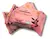 Lenço Demaquilantes Rosa Mosqueta- Dapop - comprar online