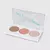 Paleta BFF - Vizzela - Contorno, Blush e Iluminador - comprar online