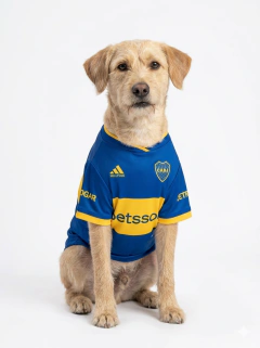 CAMISETA BOCA 2026 en internet