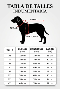 Camiseta de Racing - HOLLYDOG