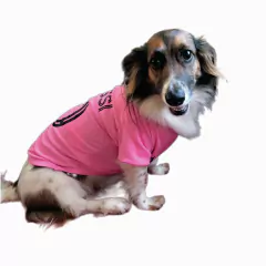 Camiseta de Miami en internet