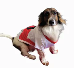 Camiseta de River en internet