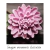 Molde Flor suculenta Prime Chef 3,5 cm - comprar online