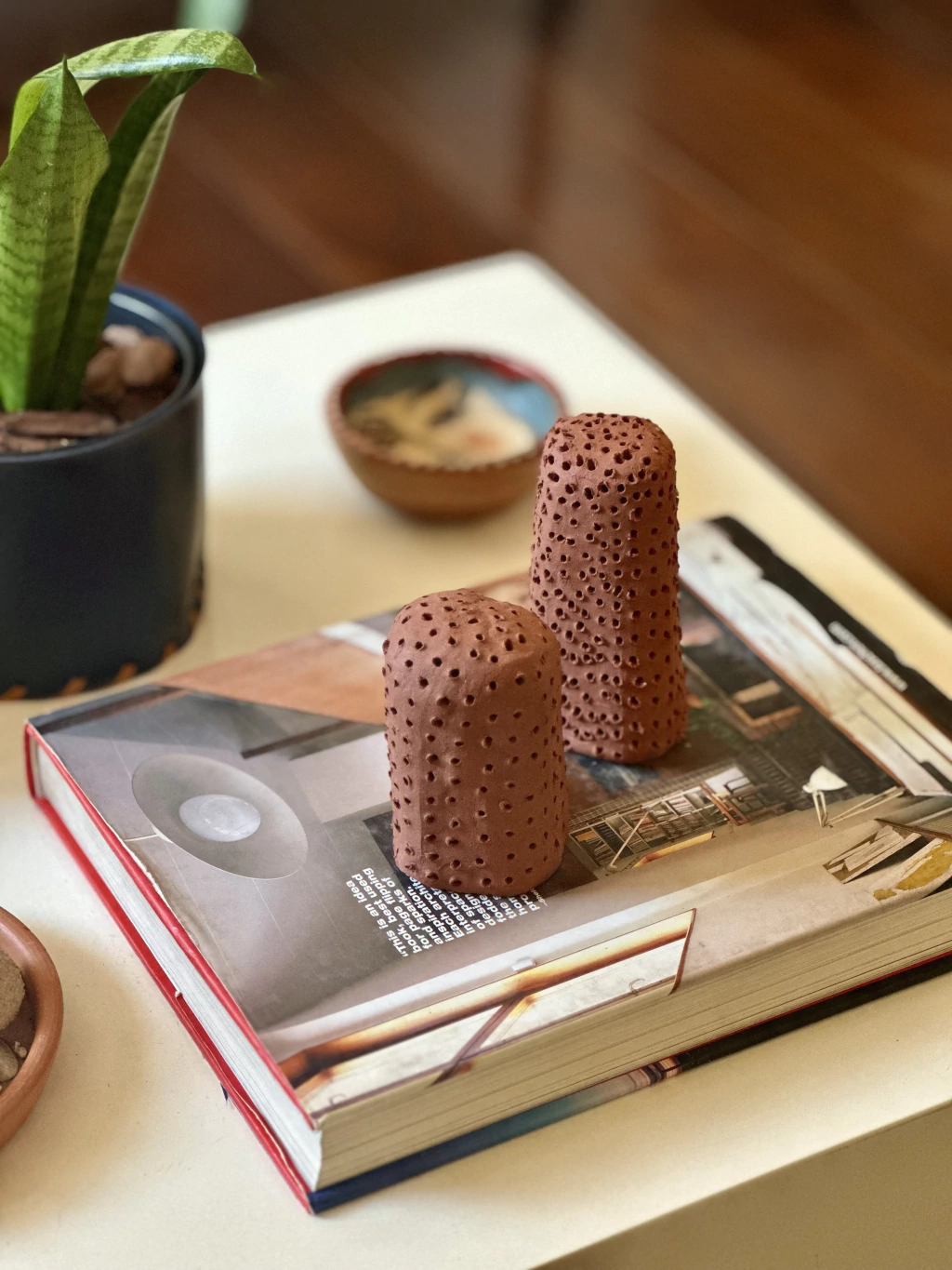 Dupla de Xique-xique