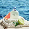LIGHT BLUE POUR HOMME - DOLCE & GABANNE EDT
