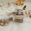 BRAND COLLECTION 177 (inspiração chloé)