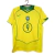 Camisa Seleção Brasileira I Retrô 2004 #9 #RONALDO - comprar online