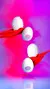 OVO EGG MASTURBADOR - comprar online