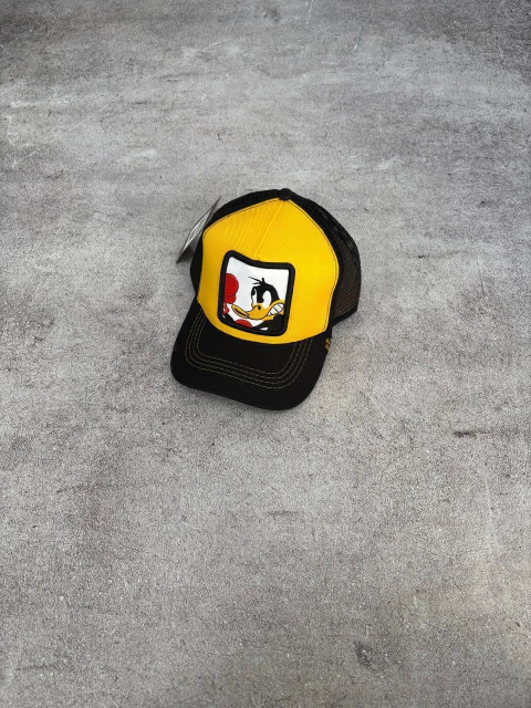 Gorra premium goorin bross