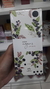 Águas Jabuticaba Feminino 170 ml - comprar online