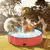 Imagem do Piscina Grande Dobrável Que Amor!
