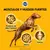 PEDIGREE ADULTO SALMON X 21 KG - On! Care Shop