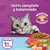 WHISKAS CASTRADOS MIX CARNES X 10KG en internet