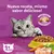 WHISKAS POLLO X 1 KG - comprar online