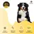 PAÑO DE ENTRENAMIENTO PARA PERRO BEEPAW TRAIN-E SMALL en internet