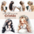 Kit Digital | Coleção Mulheres Cristãs | PNG - comprar online
