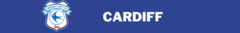 Banner da categoria Cardif