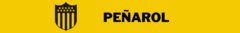 Banner da categoria Peñarol