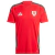 Camisa Seleção País de Gales Home 24/25 - Torcedor - Masculina - Vermelha adidas original tailandesa oficial personalizada com nome e numero