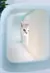 Imagem do Gato do agregado familiar caixa de areia gaveta fechada