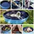 Piscina portátil para animais de estimação - Seu Little Pet