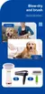 Secador de cabelo de baixo ruído, cuidado de higiene de cães e gatos - comprar online