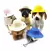 Chapéu de Palha Colorido para Animais de Estimação, Chapéu Mexicano - comprar online