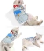 Cachorro gato filhote de cachorro gatinho animal de desenho
