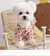 Sweet Love Listrado Pet Dog Clothes, Snap Cardigan Sweater, - comprar online