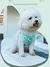 Arnês e Trela para Cães Pequenos, Colete de Arnês de Cachorro - comprar online