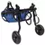 Pacientes com suporte de pernas, Pet Walk Booster ajustável para cão e gato na internet