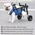 Pacientes com suporte de pernas, Pet Walk Booster ajustável para cão e gato - Seu Little Pet