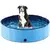 Piscina portátil para animais de estimação - comprar online