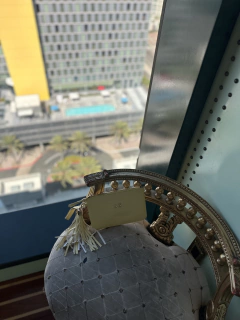 THE WRISTLET BAG - tienda en línea