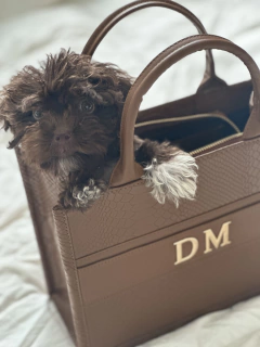 THE BIG BAG MINI SIZE - comprar en línea