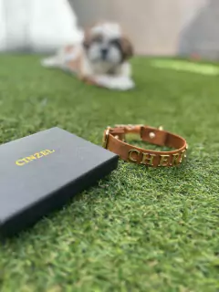 Imagen de THE PET COLLAR