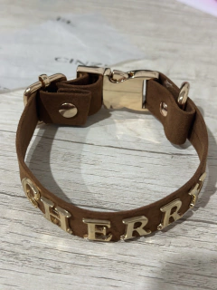 THE PET COLLAR - tienda en línea